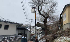 樹木伐採工事（岩手県盛岡市）