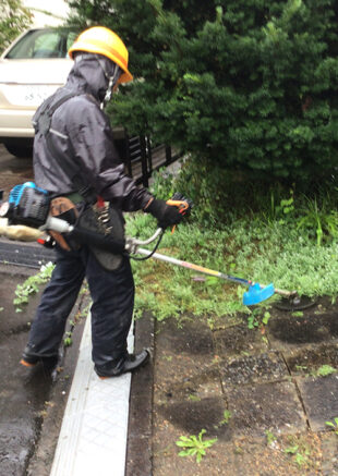 草刈り作業 草刈り作業