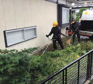 草刈り作業 草刈り作業