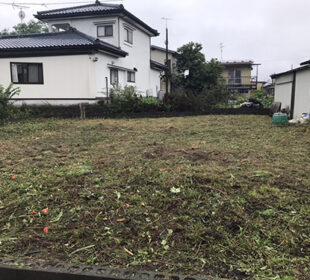 草刈り作業 草刈り作業
