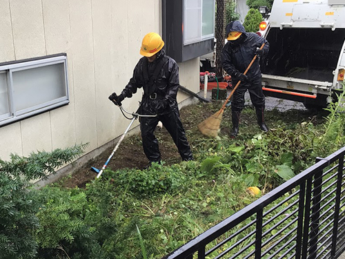 草刈り 草刈り