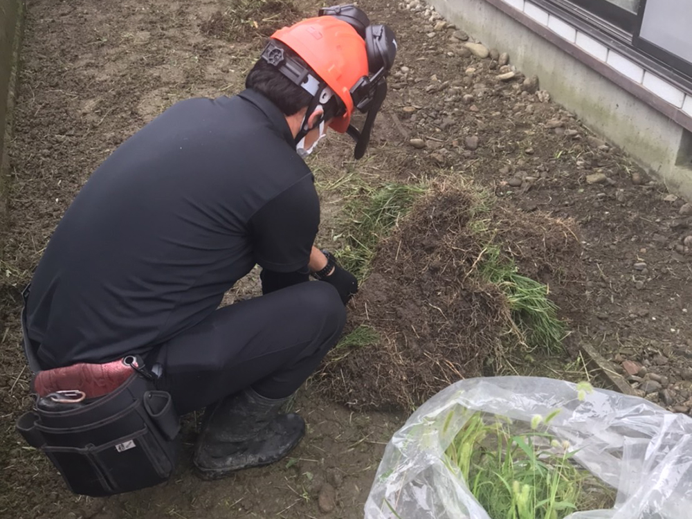 一部手作業による草取り作業 庭の草取り作業