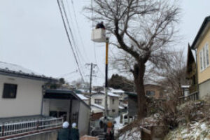 樹木伐採工事（岩手県盛岡市）