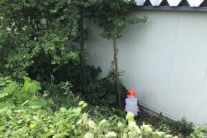 青森県三戸町のコンビニ敷地内草刈り・伐採