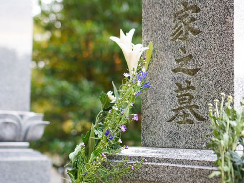 特殊清掃